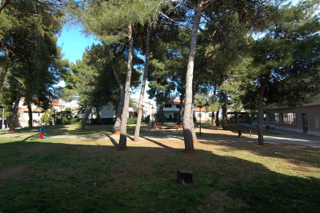 Faber Apartments Novigrad  Room photo