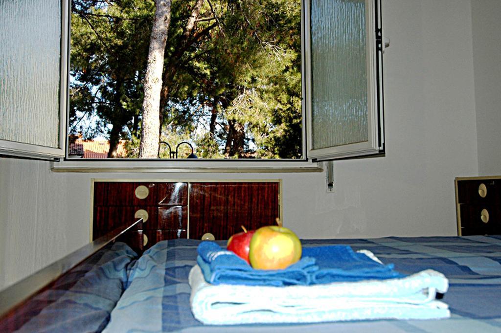 Faber Apartments Novigrad  Room photo